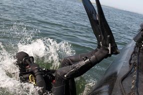 diver jumps into the water