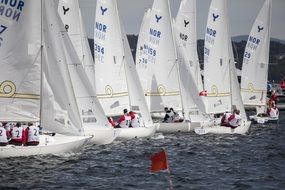 white sailing boats in competitions