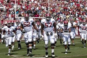 american football players on green field