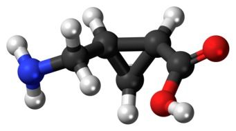 carboxylic acid model