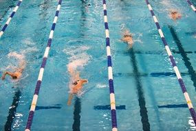 swimming competitions in the pool