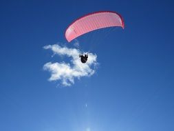 paragliding freedom parasailing fly