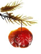 Christmas tree branch with a red ball