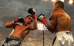 box, boxers on ring