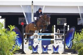 horse rider jumping over barrier