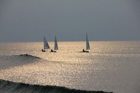 sailing at bright sunset