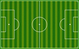 football field flower scheme
