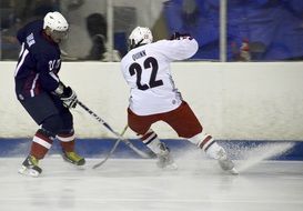 Two hockey players in the arena