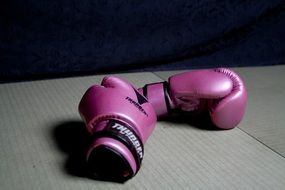 purple boxing gloves on a gray surface