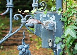 Rusted iron door handle