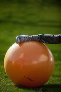 orange fitness ball