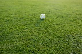 football on the green field