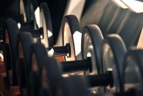 gym fitness workout