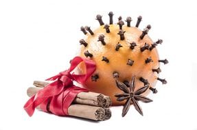 Christmas spices in the form of spices