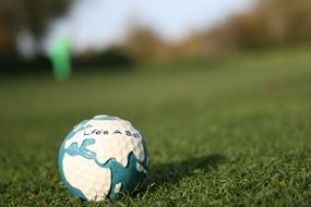 multicolored golf ball on the lawn