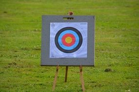 archery focus