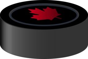 drawn puck with the symbol of Canada