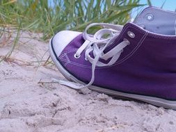 chuck s sneaker