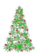 christmas tree with balls on white background