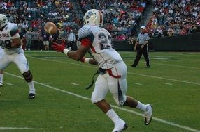 Players on the field
