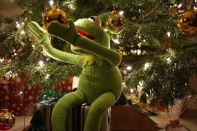 green frog under christmas tree