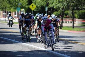 bike racers