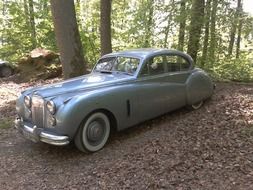 Blue retro car in the forest