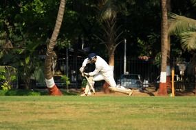 cricket player with bat