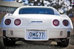 white corvette racing car