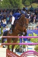 Rider on horseback in competition