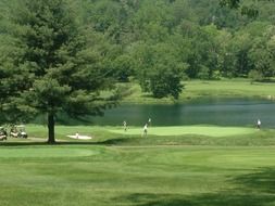 golf course at water and forest