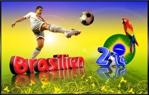 world cup 2014 football Brazil