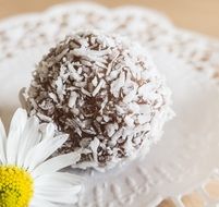 Sweet ball with coconut on it