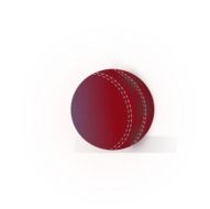 picture of cricket ball