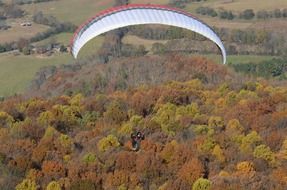 paragliding over the forest