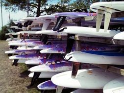 surfboard sport