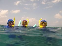 Swimmers with masks are diving