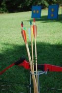 long arrows for archery