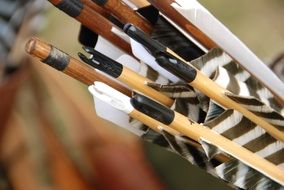 arrow archery close-up on blurred background