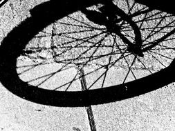 shadow of a Bicycle wheel