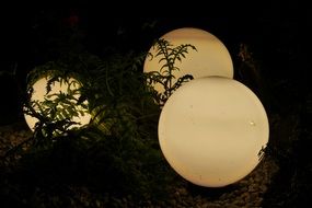 sperical lamps among plants, garden lighting