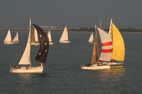 yachts on the river in sailing