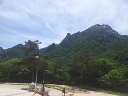 forested mountain view, korea, sokcho, ulsan rock,