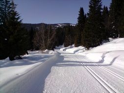 ski trails