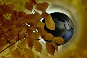 autumn over the globe as an abstraction