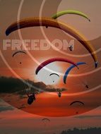 freedom paragliding