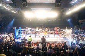 boxers in the ring while playing