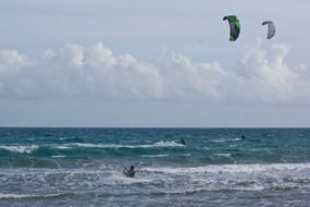 kitesurfers on the water