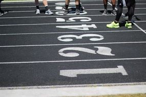 treadmills with numbers