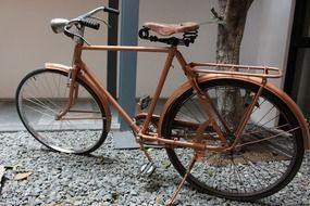 vintage bicycle parked outdoor